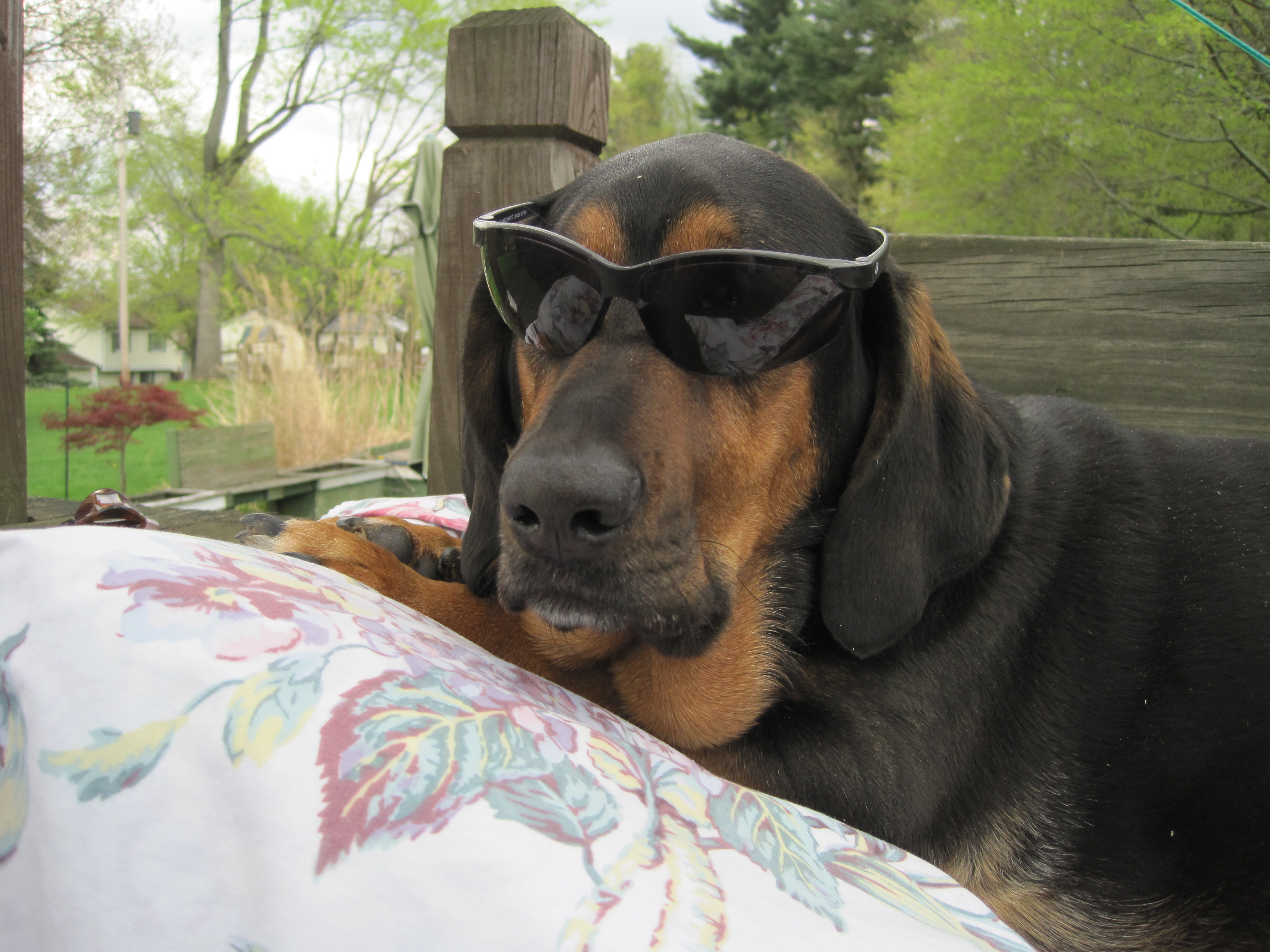 Maggie playing it cool